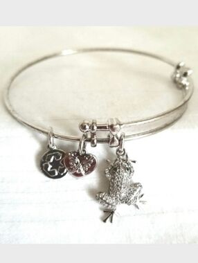 Silver Frog Heart Rhinestone Charm Bracelet